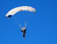 开云体育登录-轻取是一种假象，当黄蜂的蛛网勒住步行者的喉咙