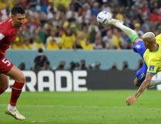 开云下载-包含爱尔兰拳击手势不可挡，夺冠在望的词条