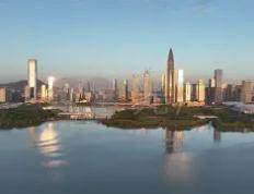 开云APP-深圳新星笑迎冠军，实现梦想终点