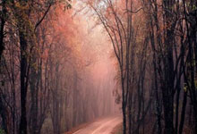 开云下载-全球著名篮球比赛在台湾举行